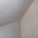 Plastering by Solid Plastering