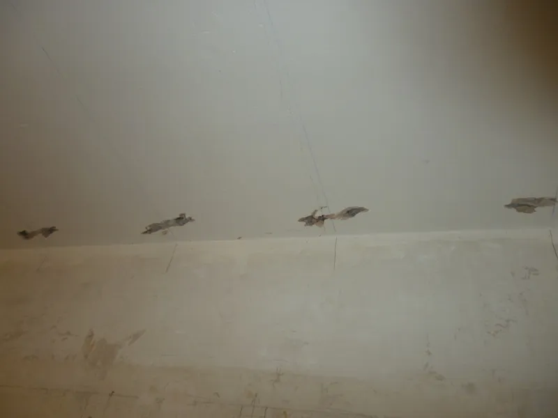 Plastering by Solid Plastering