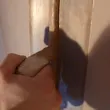 Plastering by Solid Plastering