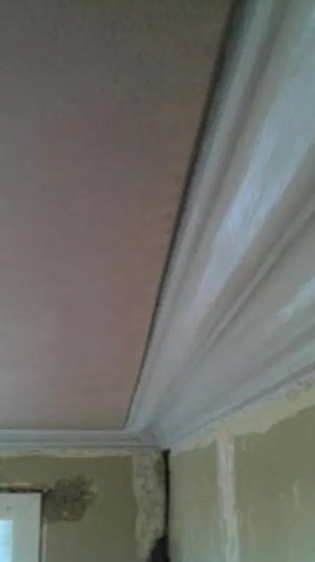 Plastering by Solid Plastering