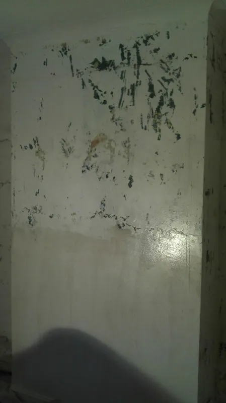 Plastering by Solid Plastering
