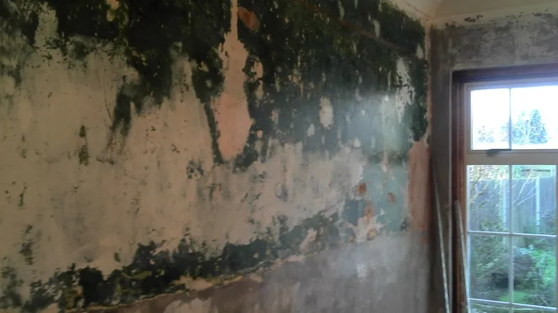 Plastering by Solid Plastering